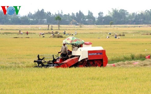 Hậu Giang tập trung các nguồn lực đầu tư để phát triển ngành nông nghiệp bền vững. (27/3/2016)